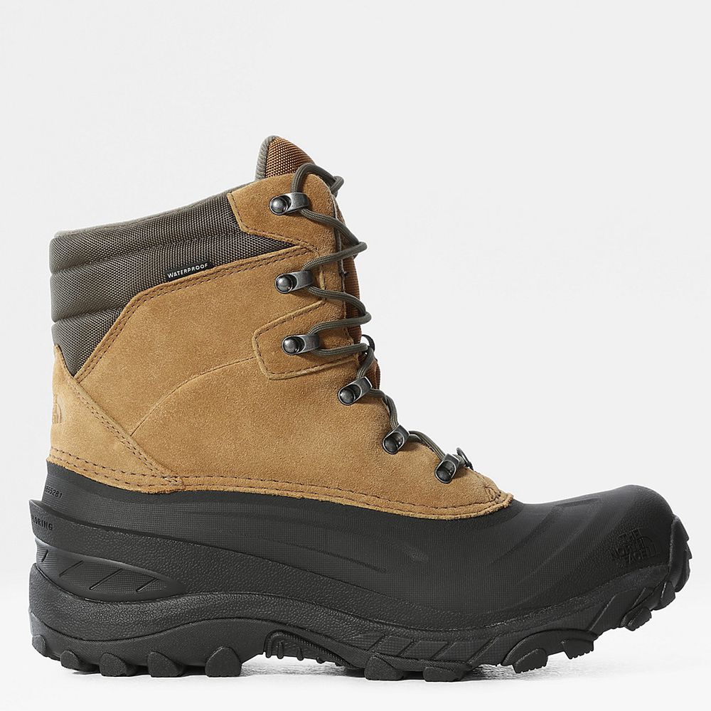 The North Face Boots Mens Australia - The North Face Chilkat Iv Insulated Brown / Green Dryvent (URZ